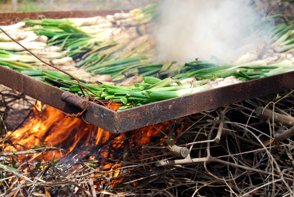 Calçots